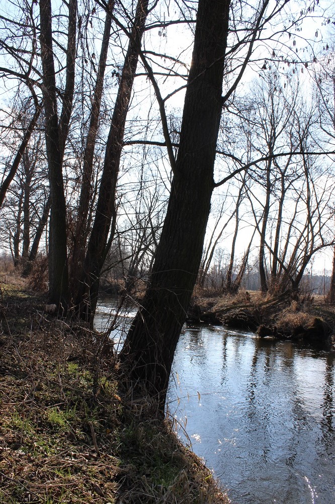 IMG_0669 - Kopia.JPG