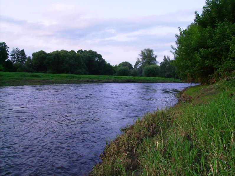 rzeka1.JPG