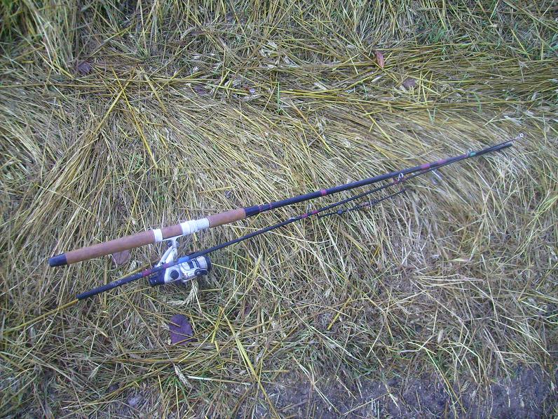 wędka.JPG