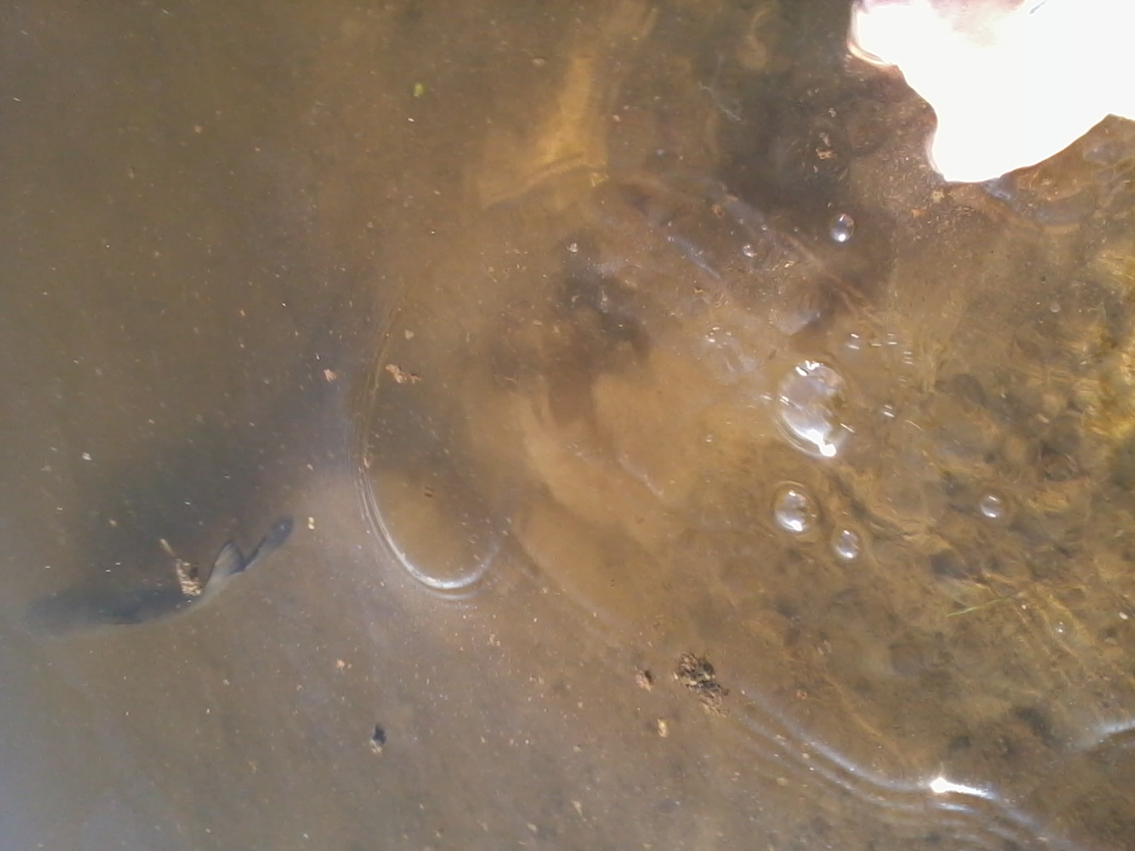 2012-10-20 15.23.45.jpg