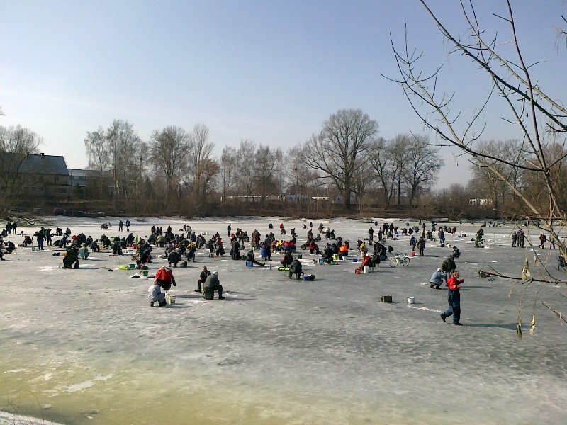 20110313243.jpg