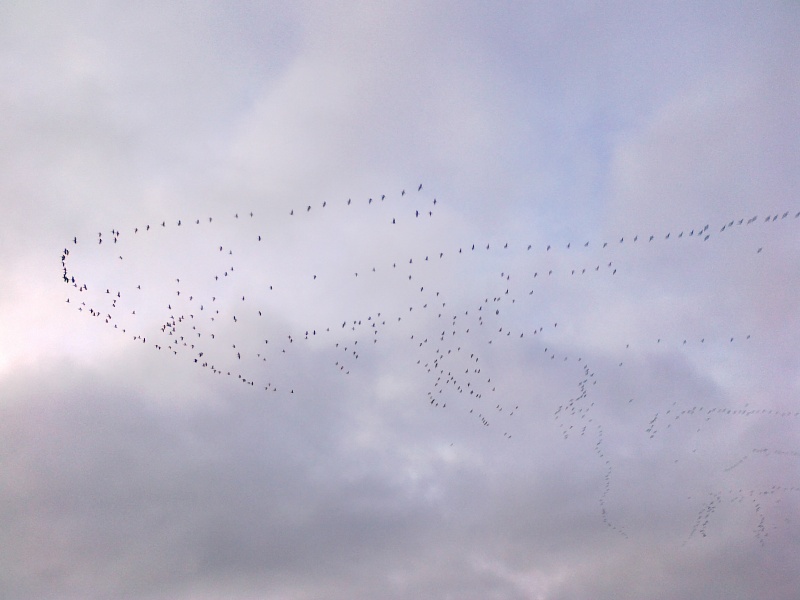 20111009504.jpg