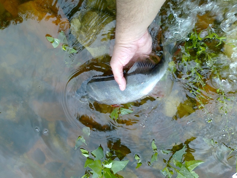 20110710425.jpg