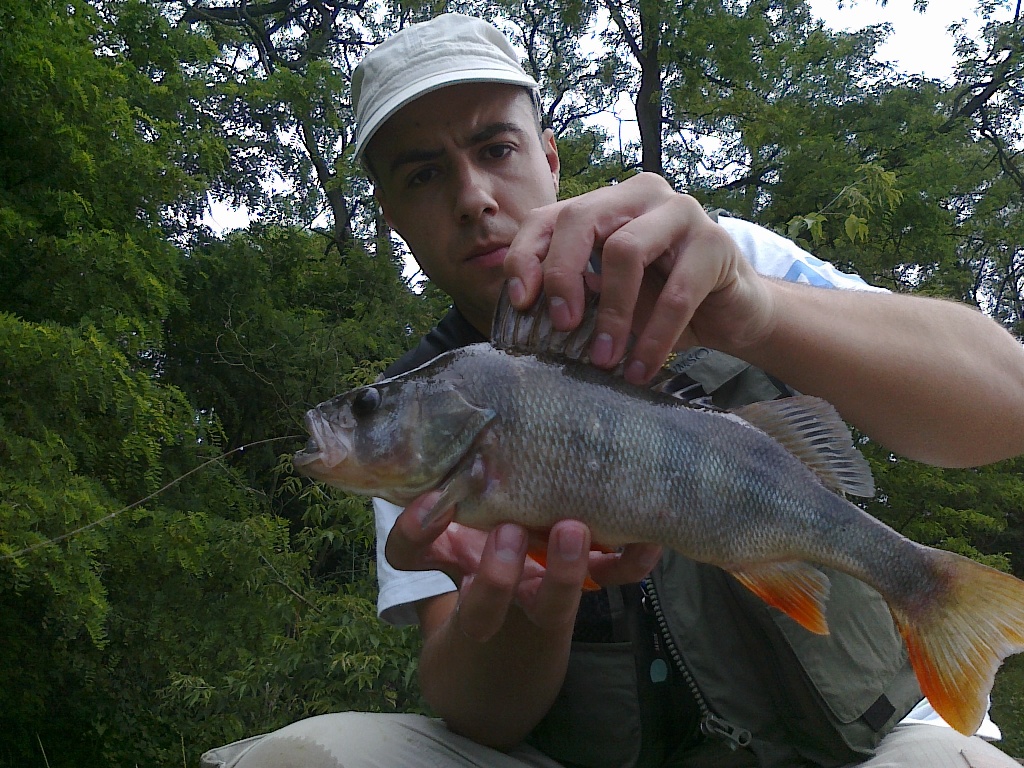 20110710420.jpg