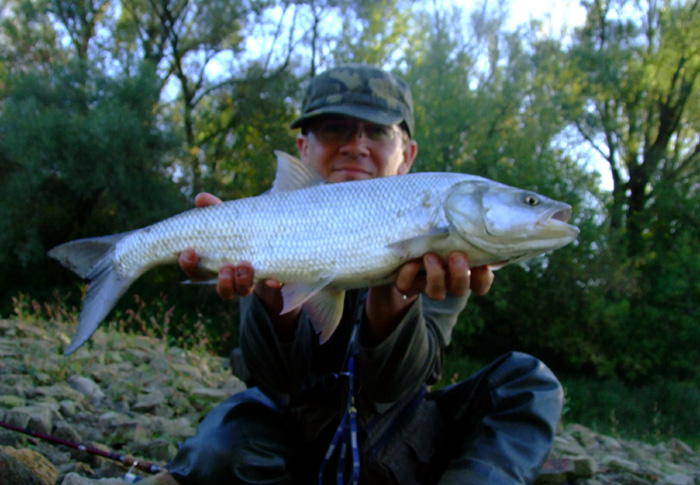 bolek_68cm.jpg