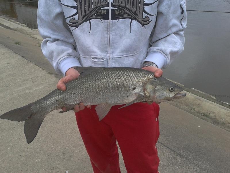 2012-05-13 12.45.29.jpg