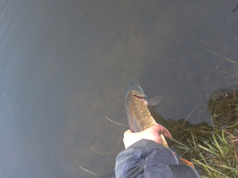 2011-11-11 08.38.36.jpg