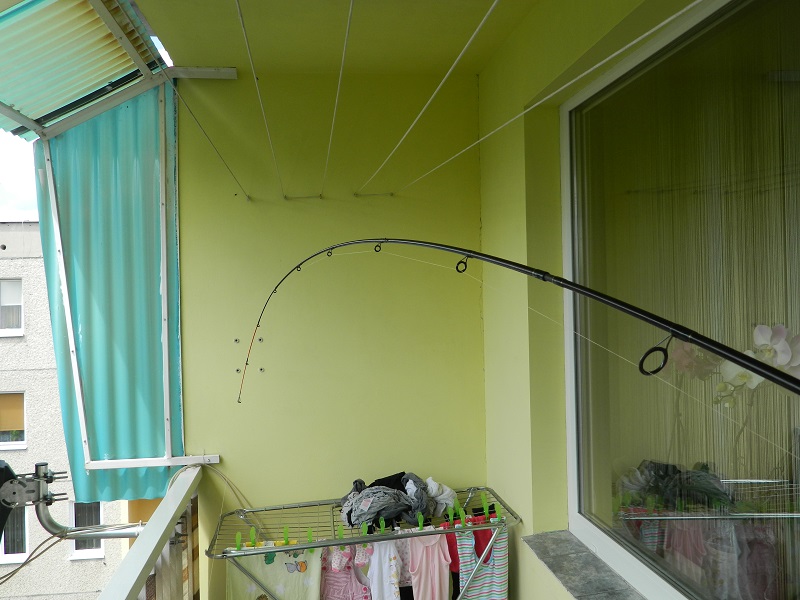 DSCN1065.JPG