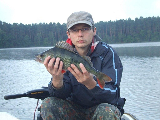 11.08.2012 Okoń 43cm, Lubniewice-1.jpg