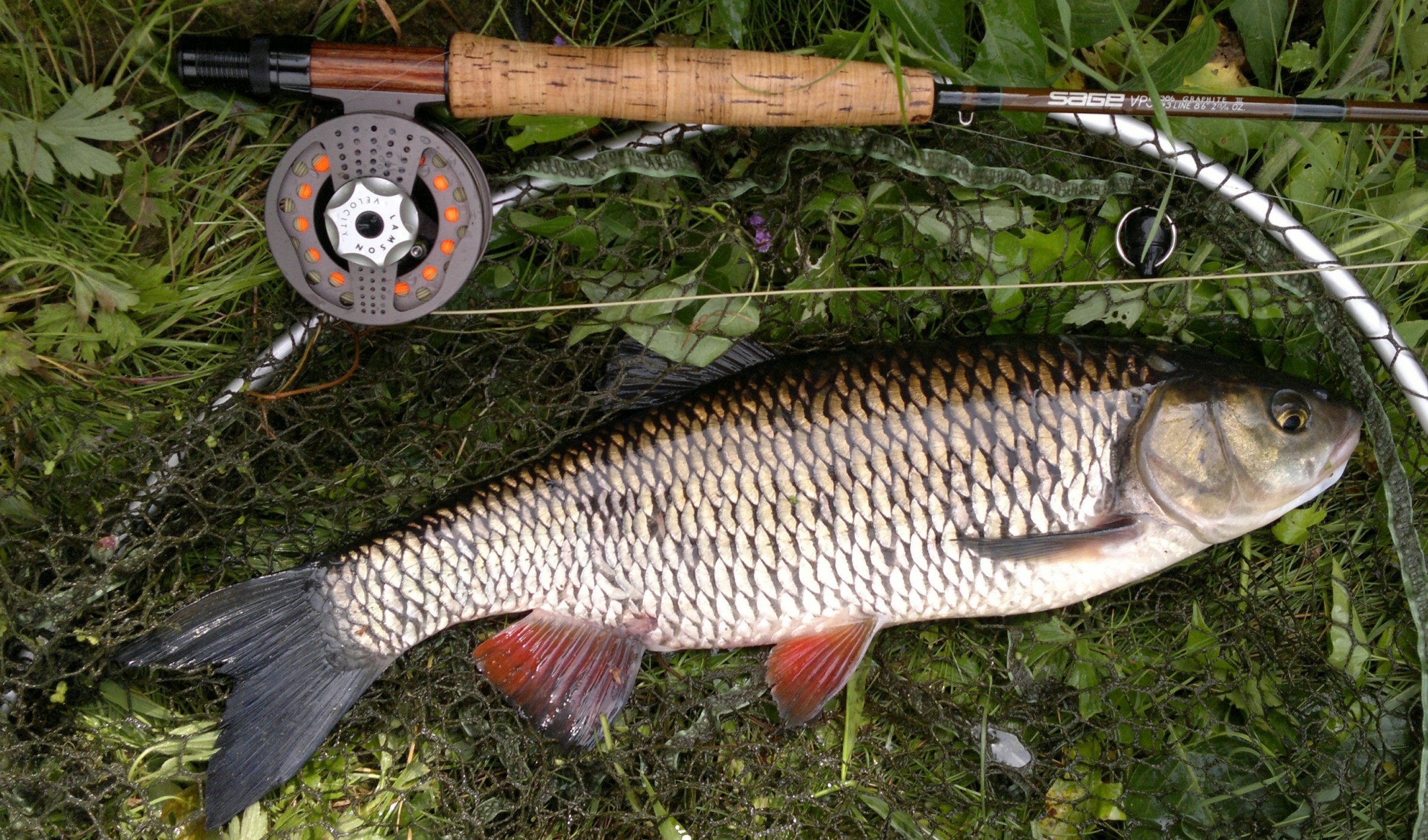 Mapa bitowa w Rysunek2.jpg