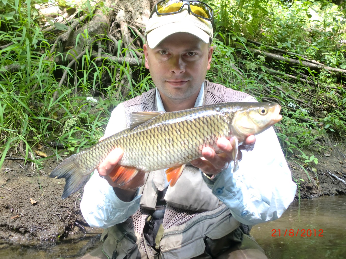 Mapa bitowa w Rysunek1.JPG