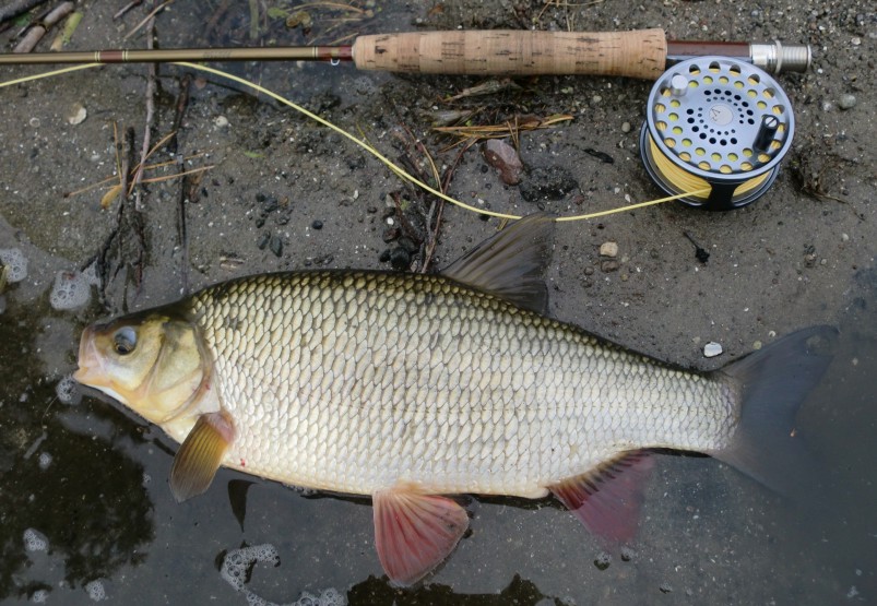 Mapa bitowa w Rysunek3.jpg