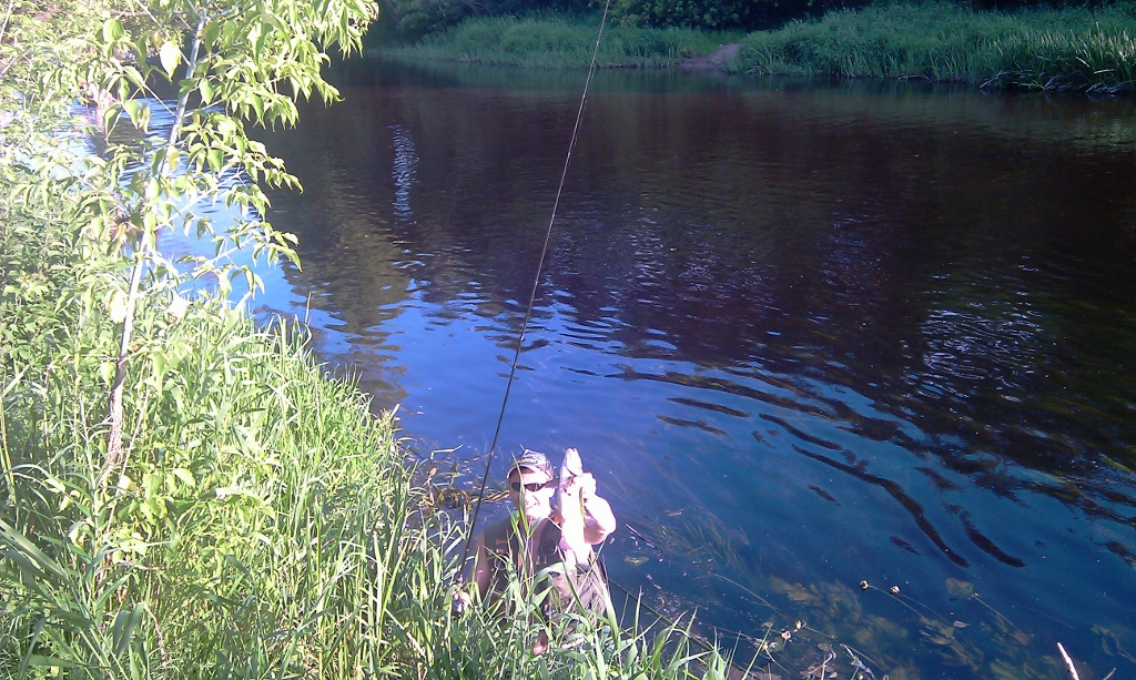 IMAG0752 (1024x613).jpg