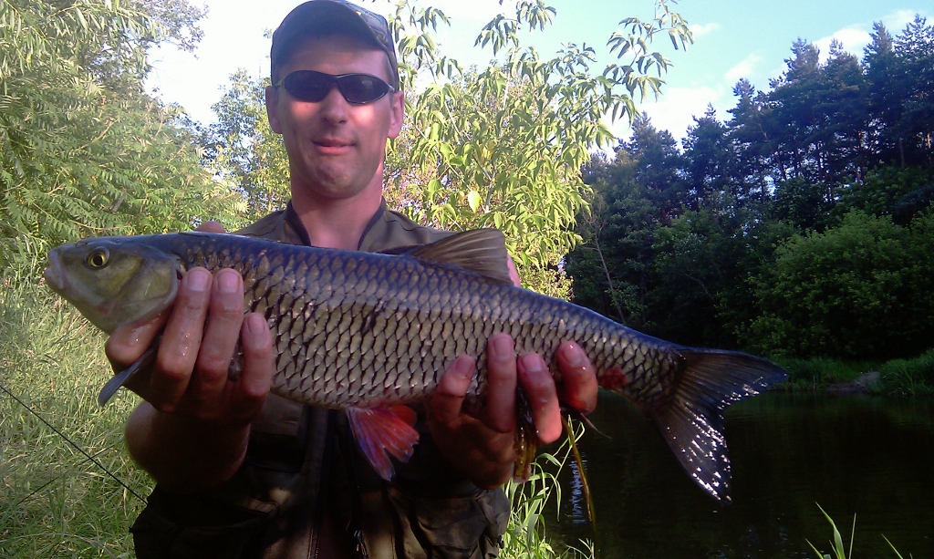 IMAG0755 (1024x613).jpg