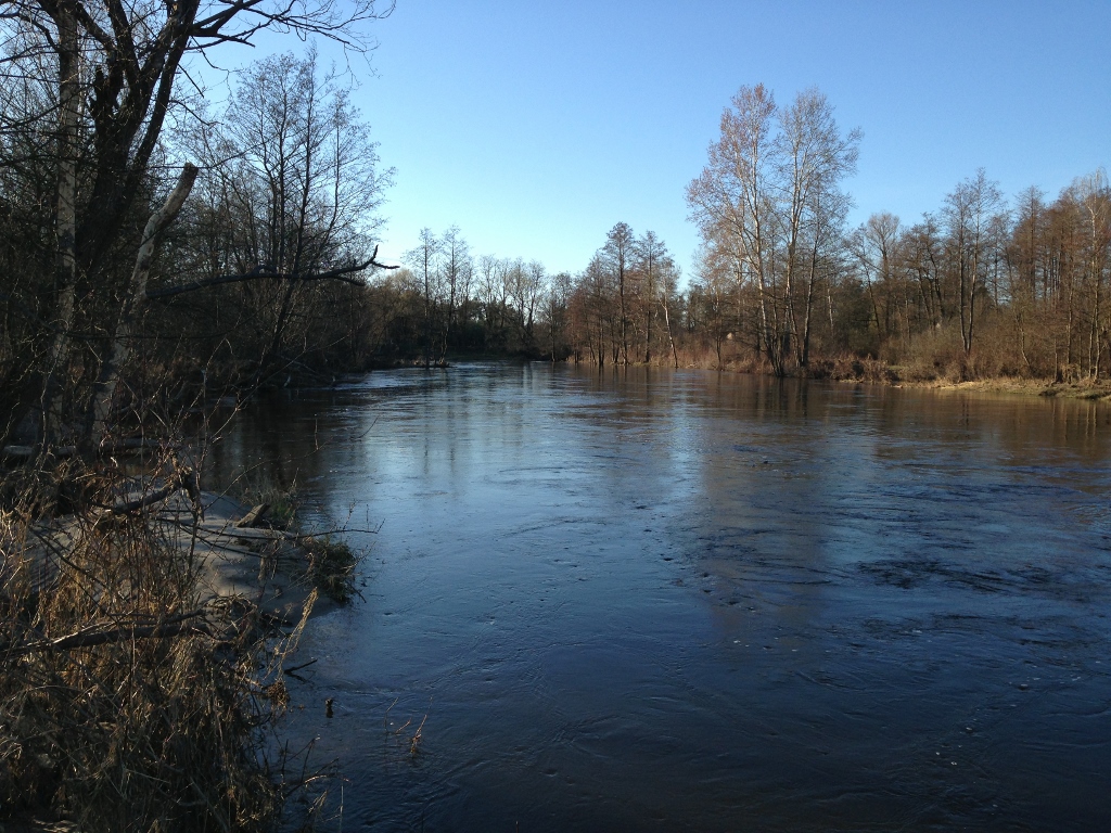 zdjęcie 2 (1024x768).jpg