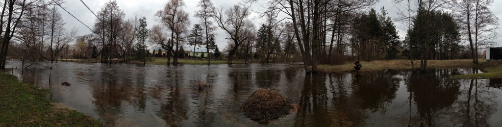 zdjęcie 2 (1024x259).jpg