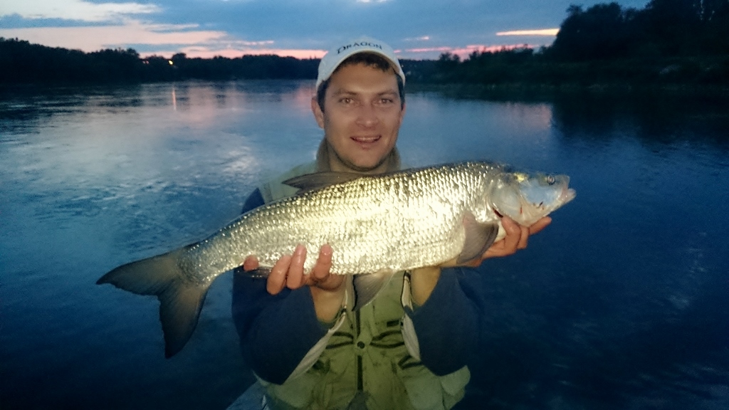 DSC_0346 (1024x576).jpg