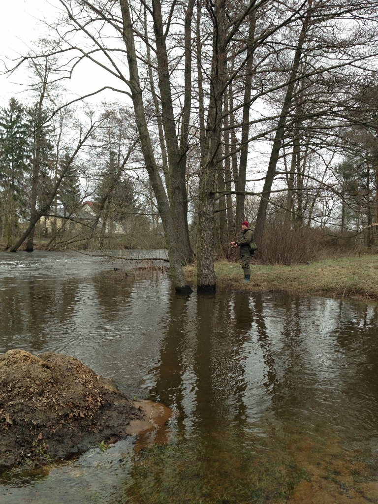 zdjęcie 12 (768x1024).jpg