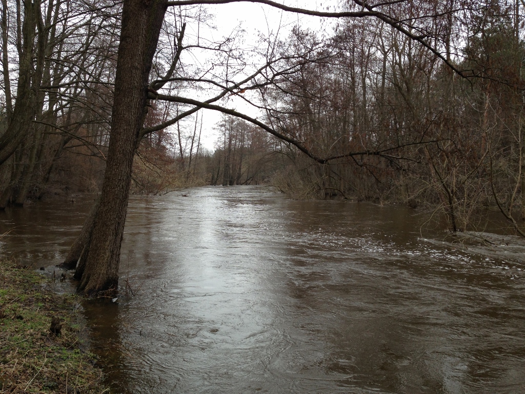 zdjęcie 6 (1024x768).jpg