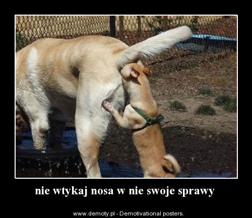 nie-wtykaj-nosa-w-nie-swoje-sprawy.jpg