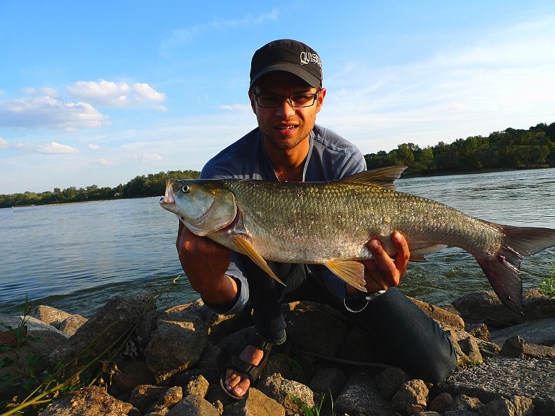 72 cm.jpg