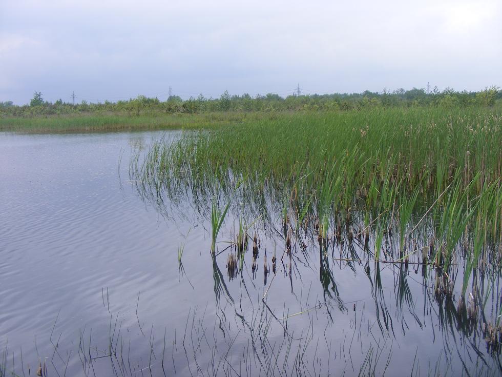 2008_05230021.JPG