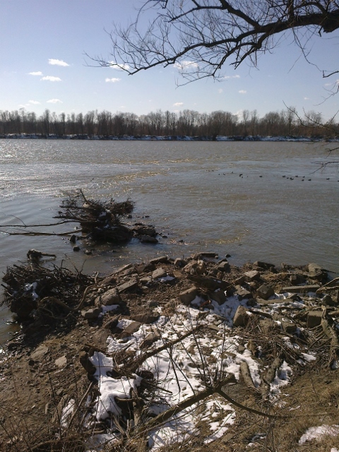 16032013016 (480x640).jpg