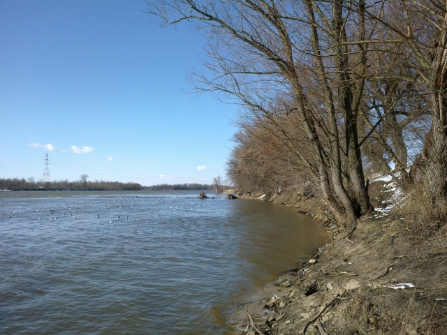 16032013011 (640x480).jpg