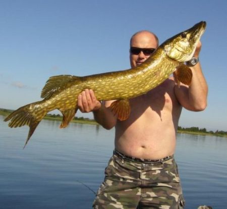 szczupak 113 cm.jpg