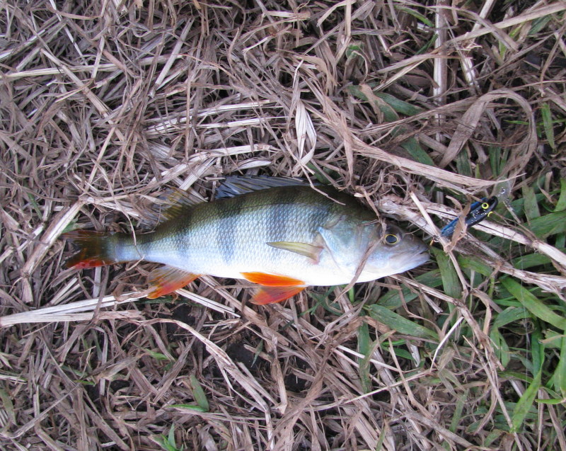 IMG_0156.JPG