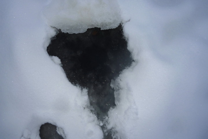 lód 20 01 2013_5.jpg