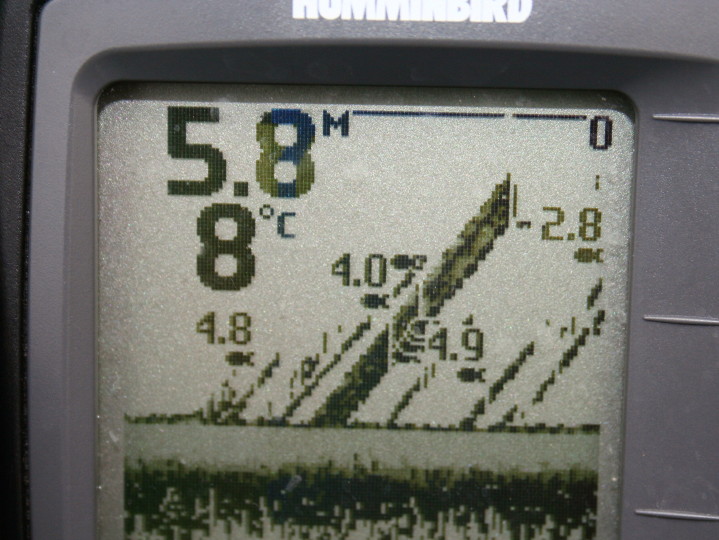 Z6_echosonda_3.jpg