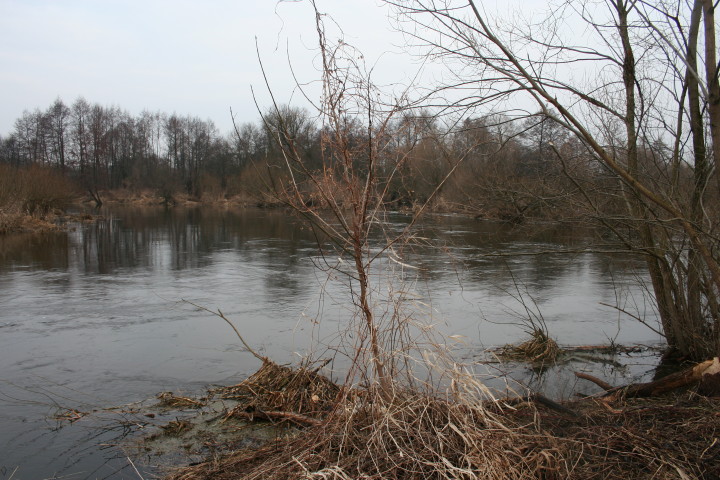 Wkra 21 03_2010_2.jpg