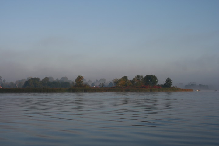563_1.jpg