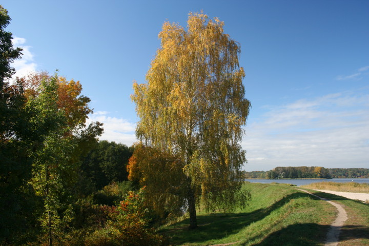 675.jpg