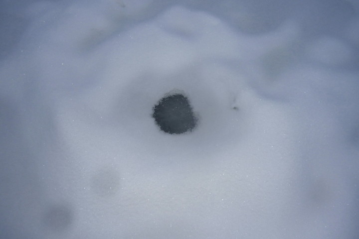 lód 20 01 2013_2.jpg