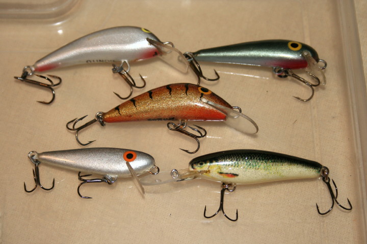 Zestaw wobl 2012_2.jpg