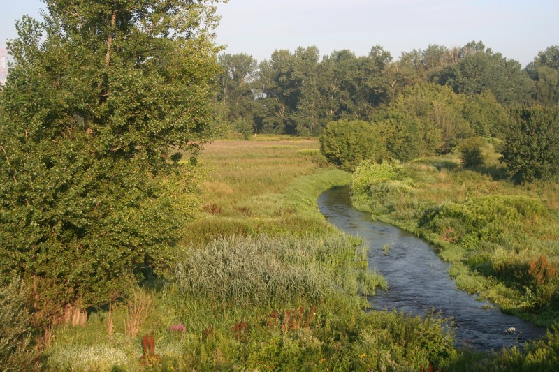 29 07 2011_1.jpg