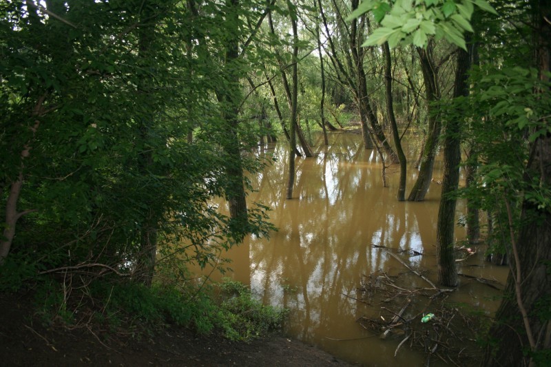 29 07 2011_8.jpg