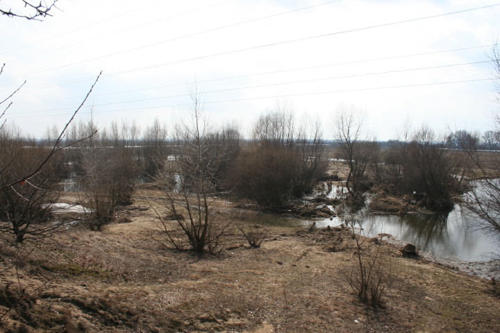 Wkra 21 03_2010_11.jpg