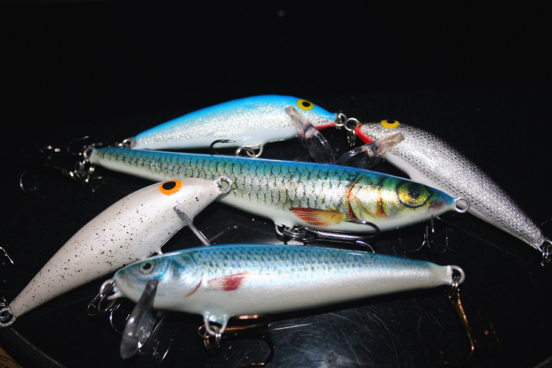 18 kwietnia rapowe.jpg