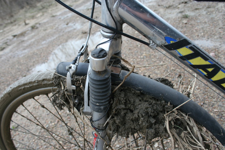 W_20 03 2010_7.jpg