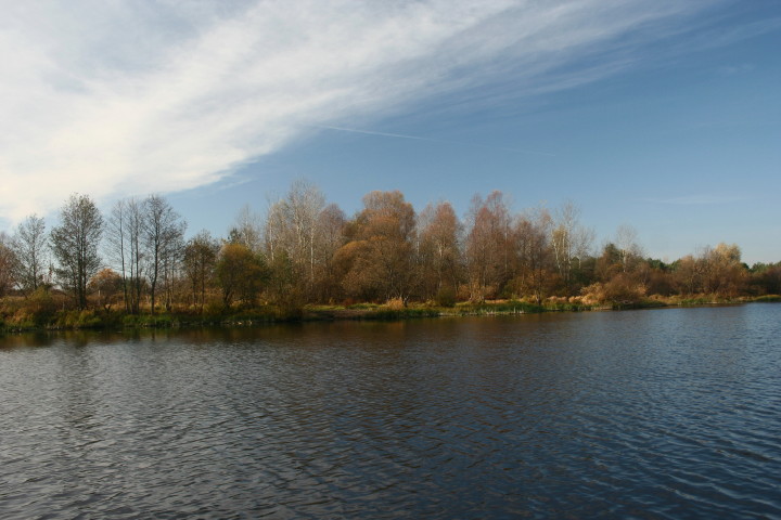 Gnojno 01 11 2010_2.jpg