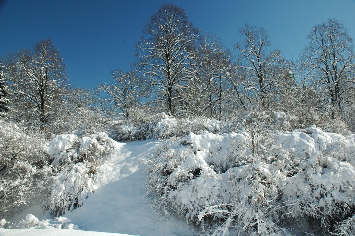 15 03 2010_5.jpg