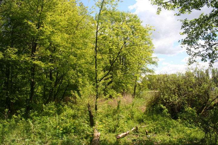 143.jpg
