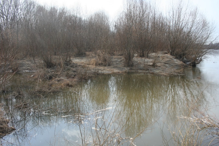 W_20 03 2010_3.jpg