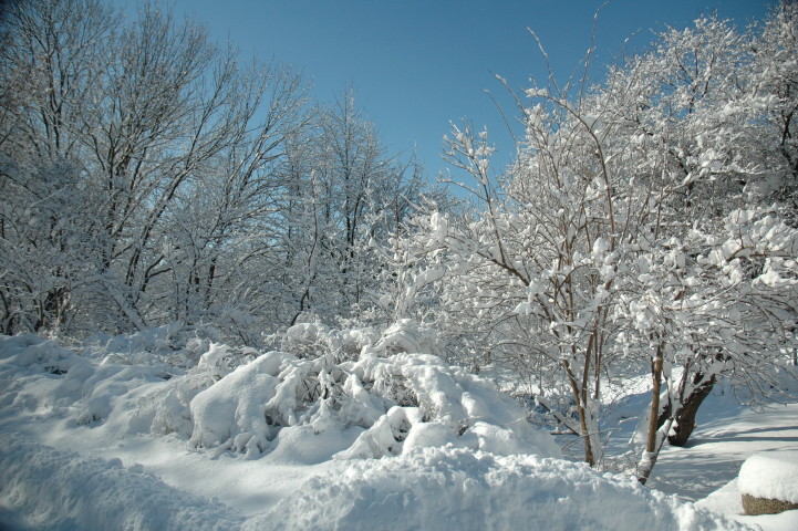 15 03 2010_2.jpg