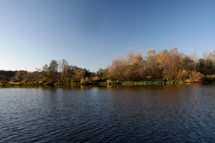 Gnojno 23 10 2010_2.jpg