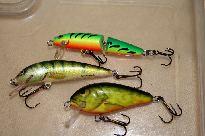 Zestaw wobl 2012_8.jpg