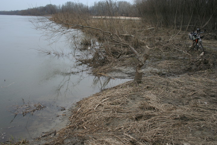 W_20 03 2010_5.jpg